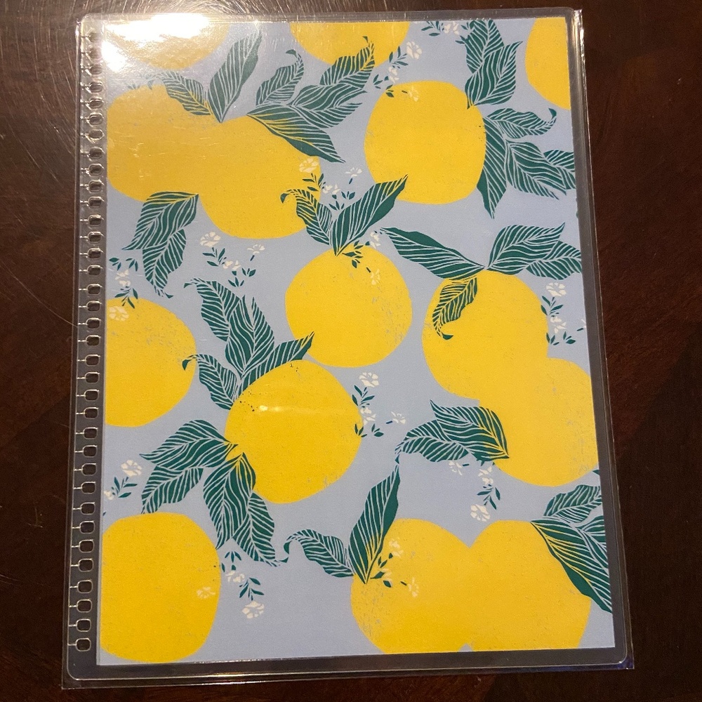 Erin Condren Fruity Beauty Cover